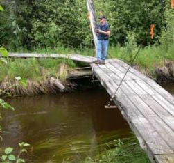 Bridge_080808.jpg